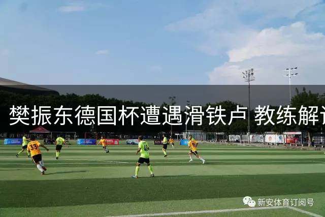 樊振东德国杯遭遇滑铁卢 教练解读顶尖选手面临挑战